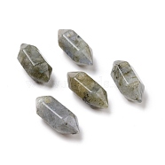 Natural Labradorite Double Terminal Pointed Pendants, Faceted Bullet Charm, 18.5~20x8~9x8~9mm, Hole: 1.5mm(G-C007-02A-27)