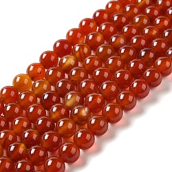 Natural Carnelian Beads Strands, Dyed, Round, Red, 8mm, Hole: 1mm, about 52pcs/strand, 15.5 inch(X-G-G390-8mm-03)