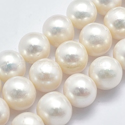 Natural Cultured Freshwater Pearl Beads Strands, Round, Beige, 11~12mm, Hole: 0.8mm, about 38pcs/strand, 15.9 inch(PEAR-K003-13A-01)