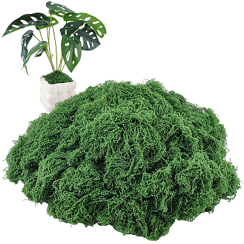 Polyester Artificial Moss, Micro Scene Garden Decoration, Photography Props Accessories, Dark Green, 1mm, 150g/set