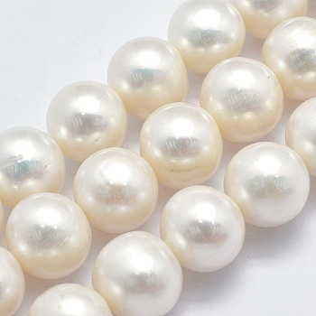 Natural Cultured Freshwater Pearl Beads Strands, Round, Beige, 11~12mm, Hole: 0.8mm, about 38pcs/strand, 15.9 inch