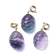 Carved Natural Fluorite Pendants, with Brass Spring Ring Clasps, Long-Lasting Plated, Tortoise Shell Shape, Golden, 26.5mm, Pendant: 19x12.5x8mm(G-J387-43)