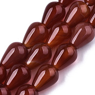 Natural Carnelian Beads Strands, Teardrop, 13~14x10mm, Hole: 1.5mm, about 28pcs/strand, 14.84 inch(37.7cm)(X-G-N326-74)
