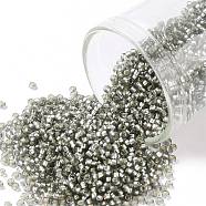 TOHO Round Seed Beads, Japanese Seed Beads, (29BF) Silver Lined Frost Gray, 15/0, 1.5mm, Hole: 0.7mm, about 15000pcs/50g(SEED-XTR15-0029BF)