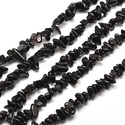 Natural Obsidian Chip Bead Strands, 5~8x5~8mm, Hole: 1mm, about 31.5 inch(X-G-M205-06)