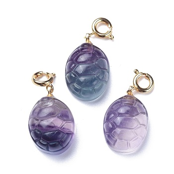 Carved Natural Fluorite Pendants, with Brass Spring Ring Clasps, Long-Lasting Plated, Tortoise Shell Shape, Golden, 26.5mm, Pendant: 19x12.5x8mm