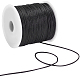 Nylon Thread(NWIR-SC0001-01A)-1