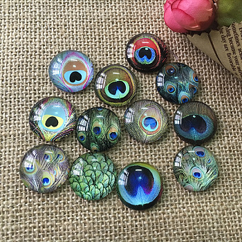 K5 Glass Cabochons, Half Round with Peacock Feather Pattern, Mixed Color, 12mm