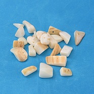 Natural Freshwater Shell Chips Beads, Shell Shards, Dyed, Creamy White, 8~17x5~7x4~6mm, Hole: 1mm, about 640pcs/500g(BSHE-S007-11)