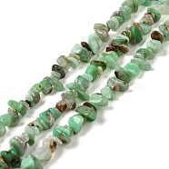Natural Chrysoprase Beads Strands, Chip, 5.5~14x5~7x2~5mm, Hole: 1mm, 15.75~15.83 inch(40~40.2cm)(G-G0004-D01-A)