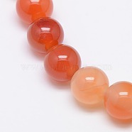 Natural Carnelian Beads Strands, Round, Grade A, 12mm, Hole: 1mm, about 32pcs/strand, 16 inch(X-G-N0006-12mm-17)
