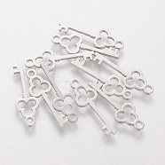 201 Stainless Steel Pendants, Key, Stainless Steel Color, 20x7x1.1mm(STAS-Q201-T417)