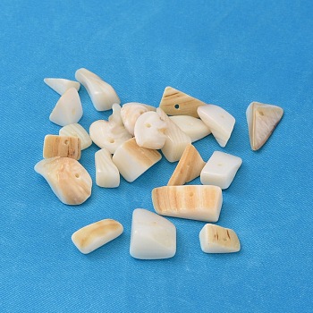 Natural Freshwater Shell Chips Beads, Shell Shards, Dyed, Creamy White, 8~17x5~7x4~6mm, Hole: 1mm, about 640pcs/500g