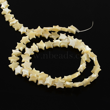 Star Natural White Shell Beads Strands(BSHE-Q025-14B)-2