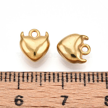 304 Stainless Steel Charms(STAS-N109-141G)-3