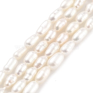 Natural Cultured Freshwater Pearl Beads Strands, Rice, Grade 5A, Snow, 2.5~3mm, Hole: 0.3mm, about 40~41pcs/strand, 7.48''~7.68''(19~19.5cm)(PEAR-P062-02C)