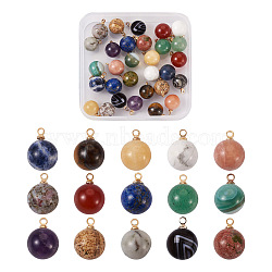 30Pcs 15 Colors Natural Gemstone Charms, with Golden Brass Loops, Round, 14x10.5mm, Hole: 1.5mm, 2pcs/color(G-YS0001-01)