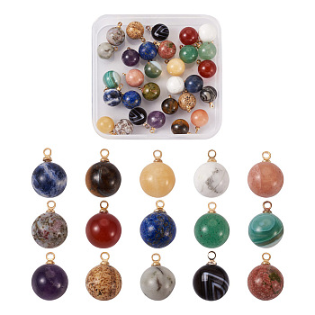 30Pcs 15 Colors Natural Gemstone Charms, with Golden Brass Loops, Round, 14x10.5mm, Hole: 1.5mm, 2pcs/color
