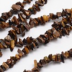 Chips Natural Tiger Eye Beads Strands, 3~8x3~12x3~5mm, Hole: 1mm, about 32 inch(G-N0164-66)