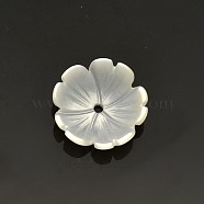 Flower Natural White Shell Beads, Mother of Pearl Shell Beads, Old Lace, 10x3mm, Hole: 0.5mm(SSHEL-N011-09)