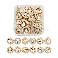 Zinc Alloy Jewelry Pendant Accessories, Twelve Constellations Series, Light Gold, 20x20mm, Hole: 2mm, 2sets/box(FIND-FW0001-03A)