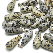 Natural Dalmatian Jasper Pendants, with Stainless Steel Snap On Bails, teardrop, 28~30x10~12mm, Hole: 6x4mm(G-T081-24)