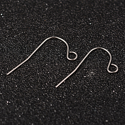 Tarnish Resistant 304 Stainless Steel Earring Hook Jewelry Findings, with Horizontal Loop, Stainless Steel Color, 22x12mm, Hole: 2mm, 21 Gauge, Pin: 0.7mm(STAS-M248-02)