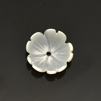 Flower Natural White Shell Beads, Mother of Pearl Shell Beads, Old Lace, 10x3mm, Hole: 0.5mm