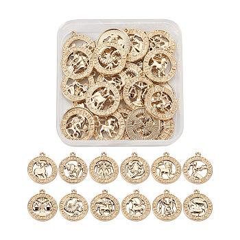 Zinc Alloy Jewelry Pendant Accessories, Twelve Constellations Series, Light Gold, 20x20mm, Hole: 2mm, 2sets/box