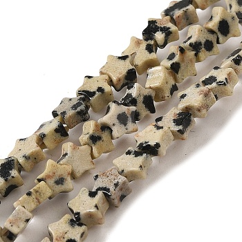 Natural Dalmatian Jasper Beads Strands, Star, 4x4.5x2mm, Hole: 0.8mm, about 102pcs/strand, 15.35 inch(39cm)