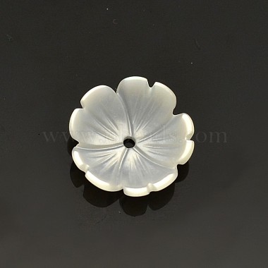 10mm OldLace Flower White Shell Beads