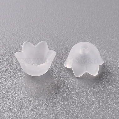 Transparent Acrylic Beads Caps(PL543-1)-5