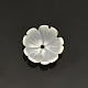 Flower Natural White Shell Beads(SSHEL-N011-09)-1