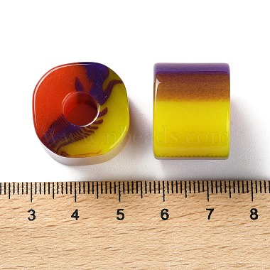 Resin European Large Hole Beads(RESI-U009-02B-03)-3