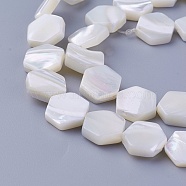 Shell Beads Strands, Hexagon, 11~11.6x10~10.5x2.8~4mm, Hole: 0.5mm, about 36pcs/strand, 16.14 inch(41cm)(SSHEL-E571-42)