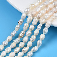 Natural Cultured Freshwater Pearl Beads Strands, Rice, Seashell Color, 5~11.5x5~6mm, Hole: 0.7mm, about 47~48pcs/strand, 13.58 inch~13.78 inch(34.5cm~35cm)(PEAR-N012-05C)