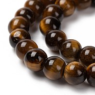 Round Tiger Eye Beads Strands, Grade AB+, Dark Goldenrod, 6mm, Hole: 1mm, about 60pcs/strand(Z0RQT011)