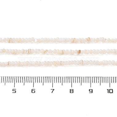 natürlichen Süßwasser-Muschel Perlen Stränge(SHEL-P017-01A-02)-4