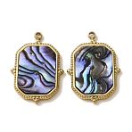 303 Stainless Steel & Natural Paua Shell Pendants, Octagon Charms, Ion Plating(IP), Long-Lasting Plated, Golden, 21.5x15.5x2.5mm, Hole: 1.5mm(SH-CBA1E47-01G)
