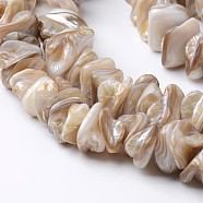 Natural Freshwater Shell Bead Strands, Tan, 10~25x10~25x3~10mm, Hole: 1mm, about 62pcs/strand, 15.4 inch(BSHE-O016-05)