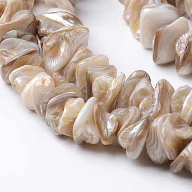 10mm Tan Shell Freshwater Shell Beads