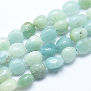 Natural Amazonite Beads Strands, Tumbled Stone, Nuggets, 8~10mm, Hole: 0.8mm, about 30~35pcs/strand, 15.7 inch(40cm)(G-E483-53B)