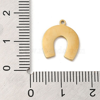 304 Stainless Steel Charms(STAS-K263-09G)-3