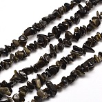 Natural Golden Sheen Obsidian Chip Bead Strands, 5~8x5~8mm, Hole: 1mm, about 31.5 inch(G-M205-07)