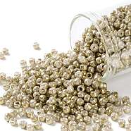 TOHO Round Seed Beads, Japanese Seed Beads, (1700) Gilded Marble White, 8/0, 3mm, Hole: 1mm, about 222pcs/bottle, 10g/bottle(SEED-JPTR08-1700)