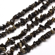 Natural Golden Sheen Obsidian Chip Bead Strands, 5~8x5~8mm, Hole: 1mm, about 31.5 inch(G-M205-07)