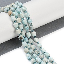 Natural Larimar Beads Strands, Faceted, Bicone, Double Terminated Point Prism Beads, 7x6mm, Hole: 1mm, about 41pcs/strand, 14.96''(38cm)(G-O201B-105E)