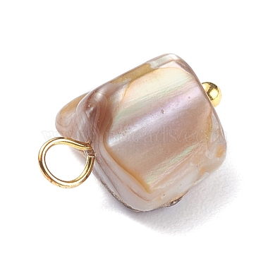 Natural Dyed Shell Charms(PALLOY-JF01339-05)-4