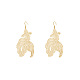 Baking Paint Iron Dangle Earrings(WGA271E-01)-2