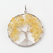 Tree of Life Natural Citrine Big Pendants, with Brass Findings, Platinum, 63~65x49~51x8~10mm, Hole: 8~10mm(G-L455-D06)